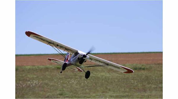 1 02052 multiplex funcub xl nd 19