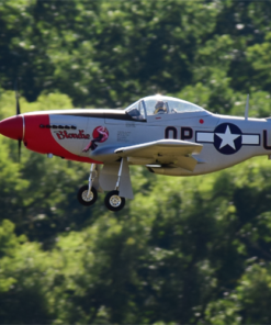 p 51d 55 orig