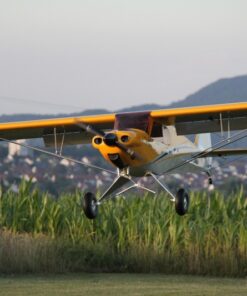 piperxl4
