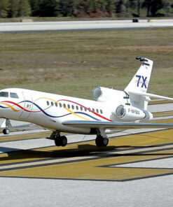 Falcon Laurens2