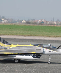 Mirage 2000 tigermeet