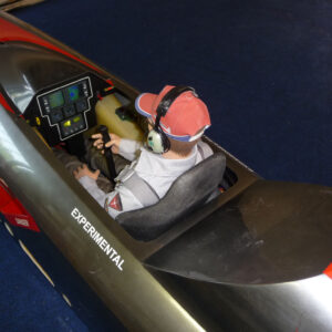 lcd diamond cockpit with pilot