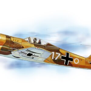 Focke - wulf fw-190 lazer cut