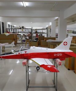T-OneModels Mini Hawk T1 Color Scheme 4
